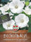 Sperli 85173 Malva Mont Blanc (Semillas de Malva)