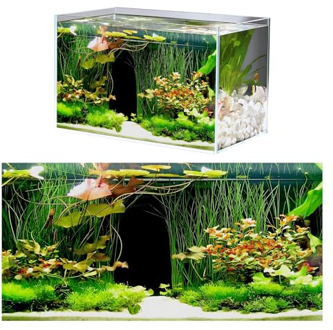 zhongko Fish Tank Background Sticker, Self Adhesive Aquarium Poster | Aquarium Sticker Pvc Self Adhesive Sticker for Reptile Box Fish Tank Wall Picture Decoration 30 x 60 cm