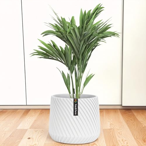 Fox&Fern Übertopf M mit 3D Riffelung - Großer Blumentopf mit Wasserabfluss - 24cm hoch, 25cm Durchmesser - Weißer Übertopf für Zimmerpflanzen