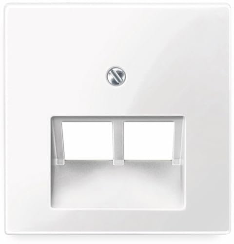Schneider Electric Merten Zentralplatte für UAE-Einsatz, 2-fach, System M, polarweiss glänzend, Artikelnummer 296119, 1 Stück