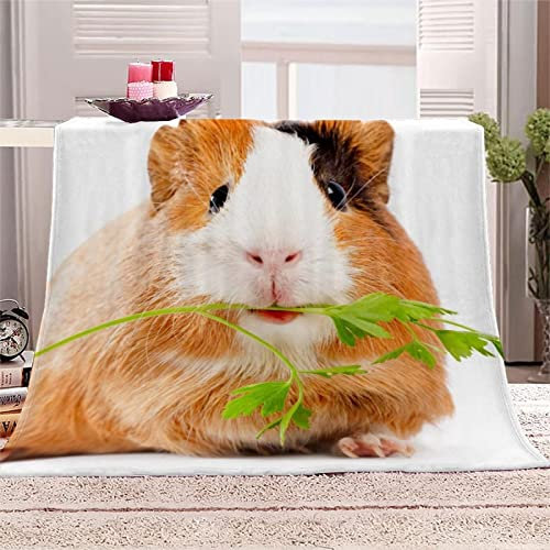 Kuscheldecke 3D Meerschweinchen 150 x 200 cm Flanell Fleecedecke Tier Weich Warm Flauschig Decke, Wohndecke Decken für Sofadecke Couchdecke, kuscheldecken für Kinder Erwachsene