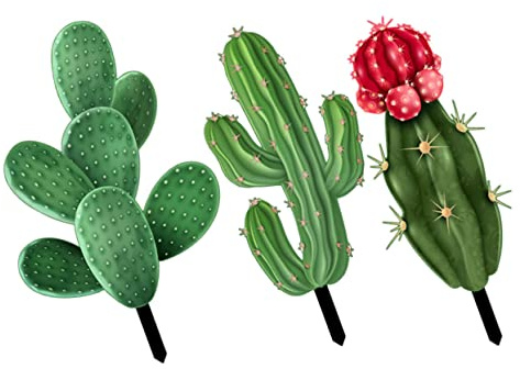 SOIMISS 3 pièces Piquets de Jardin Cactus Décoratifs Ornements Résistants pour Pelouse Extérieure Cour et Patio