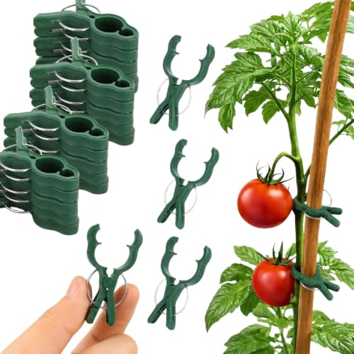 BESTonZON 50 Stück Pflanzenstützclips Grün (7,5 x 5,5 cm) - Rankclips | Befestigungsclips Klammern für Pflanzen für Tomaten, Orchideen Kletterpflanzen, Wiederverwendbare Garten Pflanzklammern