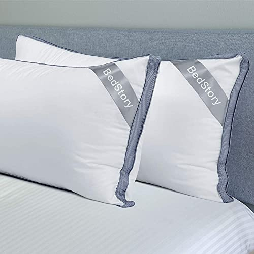 BedStory Lot de 2 Oreillers 60 x 60CM, en Microfibre de Haute Qualité, Respirant avec Maille, Doux et Confortable, Anti-Acarien et Hypoallergénique