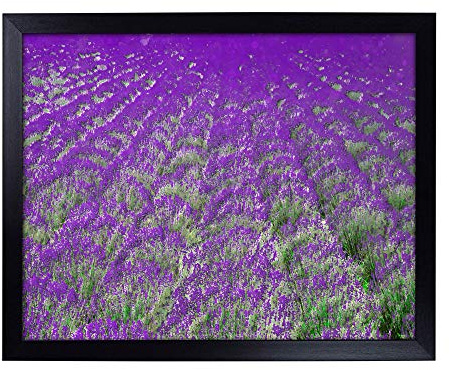 Lap Tray with Cushion | Field of Lavender | Padded Bean Bag Cushion | For Eating, Working, Crafting, Laptop | Portable Table Desk