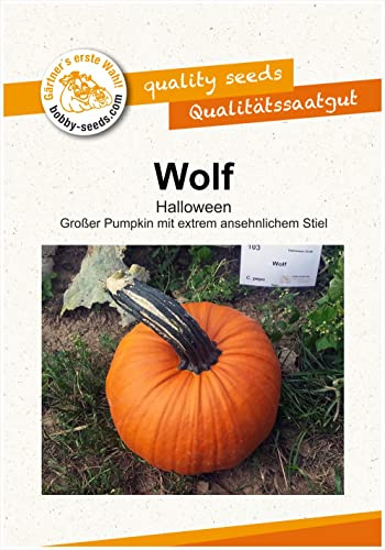 Bobby-Seeds Kürbissamen Wolf Portion