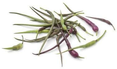 Rattenschwanz Radies gesundes Asia Gemüse vom Strauch 10 Samen LECKER