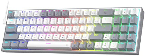 Redragon K628 Pollux 75% Wired RGB Gaming Keyboard, 78 Keys Hot-Swappable Compact Mechanical Keyboard w/100% Hot-Swap Socket, Free-Mod Plate Mounted PCB & Dedicated Arrow Keys and Numpad, Red Switch