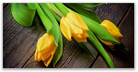 Tulup Acrylic Glass Print 120x60cm Wall Art - Wall Picture Plastic Acrylic Glass - Tulips Floral