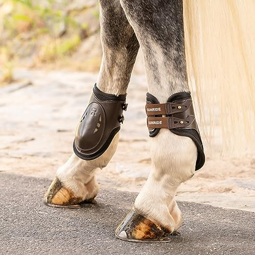 SUNRIDE Echtleder Streichkappen für Pferde (2er Set) – Turnierzugelassen, höherer Schnitt für mehr Schutz, Sicherheits-Knickverschluss, stoßabsorbierendes Schutznetz, Hinterbeinschutz - (L, braun)