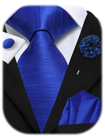 Hi-Tie Mens Royal Blue Tie Sets Satin Neck Ties Lapel Pin Formal Necktie Pocket Square Cufflinks for Tuxedo Wedding Business