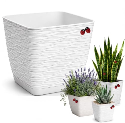 LiveLaif Macetas Decorativas Interior Cuadrada Ø15cm + Plato Integrado