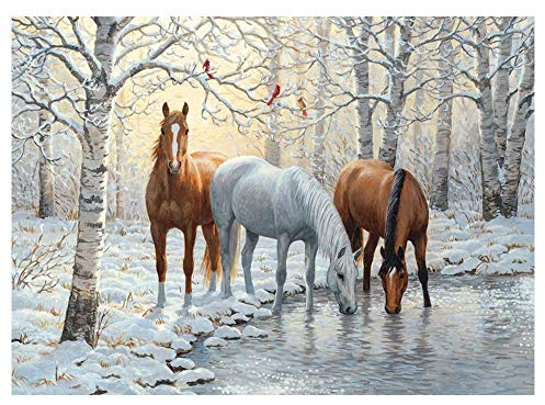 Puzzle 1000 Teile, Puzzle Erwachsene 1000 Teile, Drei Pferde am Wasser Impossible Puzzle, Puzzle Kinder Mädchen, Geschicklichkeitsspiel für die ganze Familie, Puzzle Erwachsene 1000 Teile 26X38cm（10.