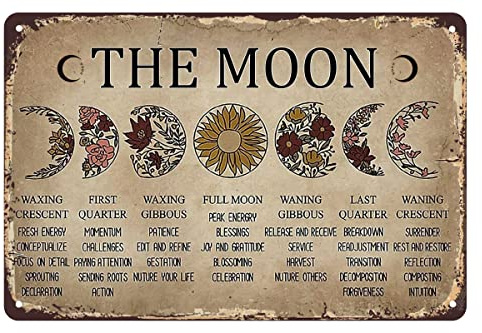 Witchy Geschenke für Frauen The Moon Witch Vintage Poster, Metall Blechschild Hexe Dekor Ästhetisch für Schlafzimmer, Home Store Bar Club Büro Dekor 20x30cm