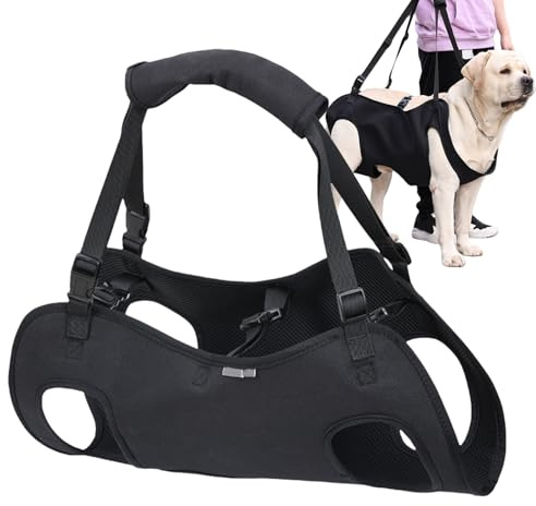 Transporte de perros - Chaleco de tela Oxford para mascotas, correa ajustable para rehabilitación de cachorros, con mango grueso para ayudar a perros con lesiones en las articulaciones y soporte de