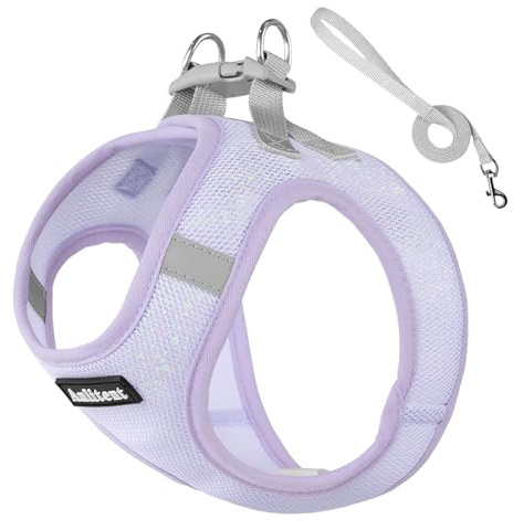 Anlitent No Pull Escape Proof Dog Harness and Leash Set, Reflective Soft Mesh Vest for Small Dogs Tiny Puppies Cats, Easy Walking Training Harnesses for Chihuahua Yorkie Puppy 6 Weeks 4lbs XXS