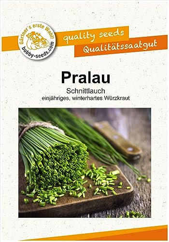 Kräutersamen Pralau Schnittlauch Portion
