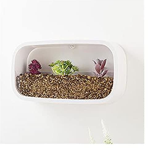 Moderne Wand-Pflanzgefäße zum Aufhängen für Innen- und Außenbereich, stilvolle Wandvase, Blumentöpfe für Sukkulenten, ideal für Schlafzimmer, Wohnzimmer und Garten, rechteckig, Weiß
