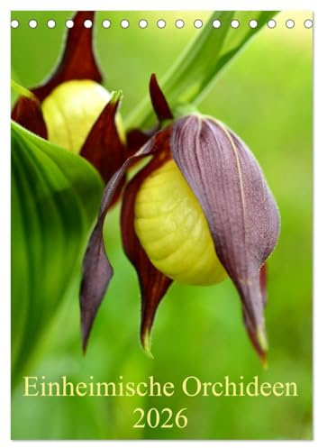 Einheimische Orchideen (Tischkalender 2026 DIN A5 hoch), CALVENDO Monatskalender: Die schönsten einheimischen Orchideen in Deutschland (CALVENDO Natur)