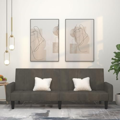 Snsowed Schlafsofa 2-Sitzer Dunkelgrau Samt, Loungesofa, Sofas & Couches, Relaxsofa, Couch für Wohnzimmer - 375775