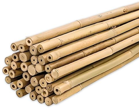 PLANTAWA Canne di Bambù 120 cm 25 pezzi Ø 12-14 mm | Paletti per Piante di Ortaggi e Pomodori | Robusti Paletti di Bambù per Orto di Varie Dimensioni