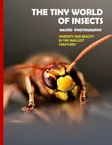 The Tiny World Of Insects: The Beauty of Insect Macro Photography - A Gift Book for Alzheimer's Patients and Seniors with Dementia - Coffee Table Picture Book .... Relaxing & Meditation.