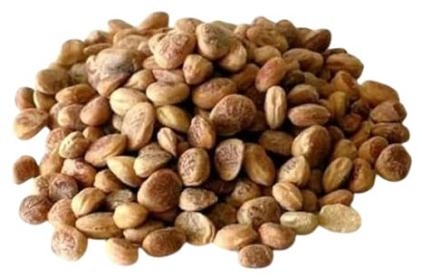 Charoli Chironji Loose 100gm Premium Cheraunji Nut HerbsnSpiceit