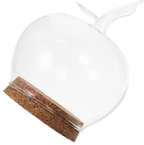 YBAAKZIIR Cupola per espositori in Vetro ， Vaso for Piante, Globo di Rose, vasi Decorativi, Campana di Vetro