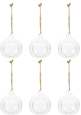 POPETPOP Transparente Hängevase aus Glas 6 Stück 6cm Kugelförmiger Blumenhalter für Innen und Außenbereich Mikro Landschaft Dekoration