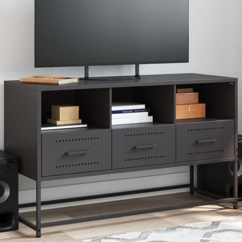 RMIHSJG TV-Schrank Schwarz HiFi Rack tv Board Couchtisch kommode 100,5x39x60,5 cm Stahl