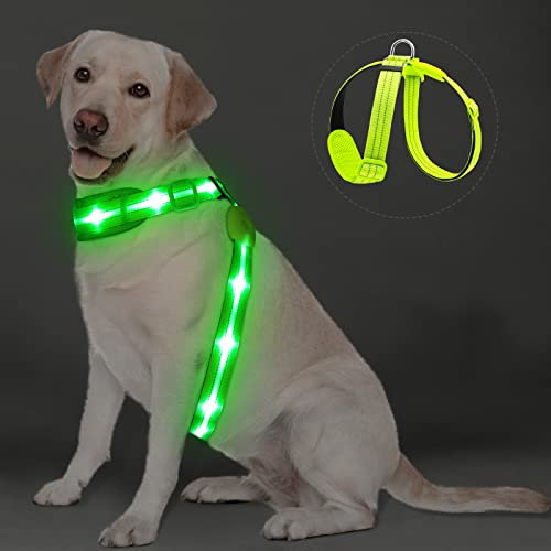 PZRLit LED Hundegeschirr Leuchtend für Hunde, Leuchtgeschirr Hundeweste Wiederaufladbar, Weich Gepolstert, Verstellbar und Reflektierend, Beleuchtetes Hundegeschirr (Grün, Groß)