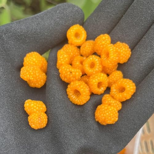 lampone, lampone da colonnari semi di biologici da giardino resistenti perenni nani, 130pcs
