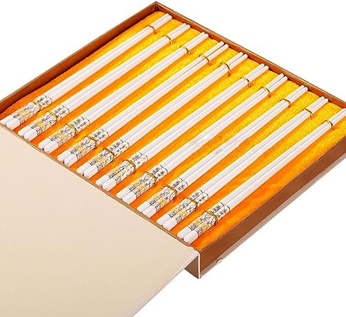 CTCOIJRN Bacchette riutilizzabili, Bacchette riutilizzabili Bacchette USA e Getta riutilizzabili Set di 10 Paia di Bacchette in Porcellana Bone China, Bacchette in Ceramica da 25 cm(A)