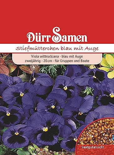 Stiefmütterchen Samen Blau mit Auge Stiefmütterchensamen Veilchen ca 200 Korn Saatgut Blumensamen Garten Hochbeet Balkonkasten Kübel Dürr Samen