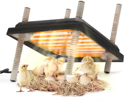 EATAKWARD Lot de 2 chauffages pour poussins, 22 W, 30,5 x 30,5 cm, plaque chauffante avec plaque facile à nettoyer pour 15 poussins à hauteur réglable