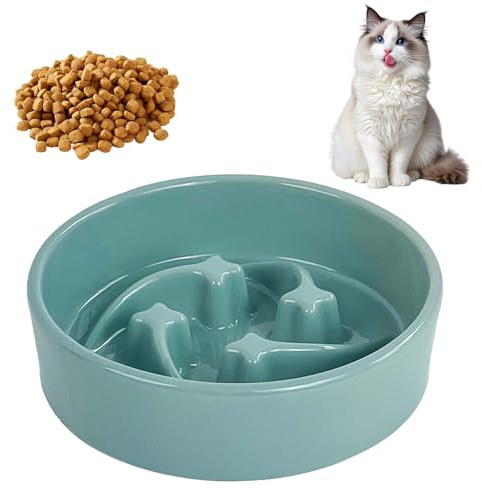 Anti Schling Napf Katze aus Keramik, 16x4.3cm Rund Anti Schling Napf Hund Katze, Antischlingnapf mit Meteormuster, Langsam Fütterung Katzennapf Einfach zu Reinigen, für Katzen & Hunde (Hellgrün)