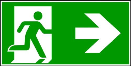 LEMAX® Rettungszeichen, Notausgang rechts DIN EN ISO 7010 Alu glatt, langnachleuchtend grün 300x150mm