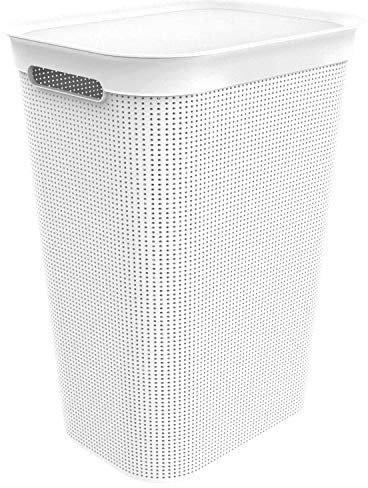 Rotho Brisen Raccoglitore di lavaggio 50l con coperchio e 2 maniglie, Plastica PP senza BPA, Bianco(Vischio), 50 l 43.1 x 34.0 x 52.9 cm