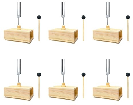 Torsten 6X 432-Hz-Stimmgabel mit Resonanzkasten, für Klangheilung, Stimmgabel-Resonanzunterricht, HöRtests,