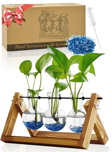 Plant Terrarium with Wooden Stand, Air Planter Bulb Glass Vase Metal Swivel Holder Retro Tabletop for Hydroponics Home Garden Office Decoration - 3 Bulb Vase