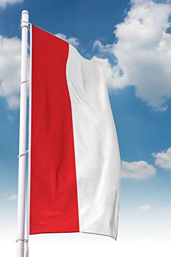 Deitert Bundesland-Flagge Hessen – 150x400 cm Hessen Fahne ohne Wappen im Hochformat, Hissfahne aus reißfestem Polyester