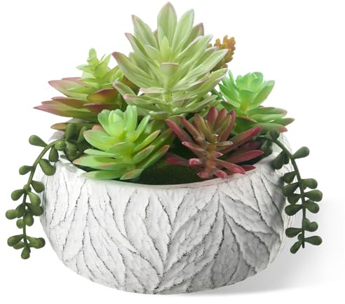 yel canby 6 Inch Artificial Succulent Plant in White Ceramic Pot - Realistic Fake Succulent for Home Office Desk Bathroom Decor Coffee Table Decor
