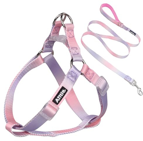 AIITLE Dog Harness Easy On and Off - Step in Adjustable Pet Vest with A Leash -No Pull Escape Proof Halter Harness with Quick-Release Buckle - Walking for Medium Dogs, Pink-Purple Gradient M