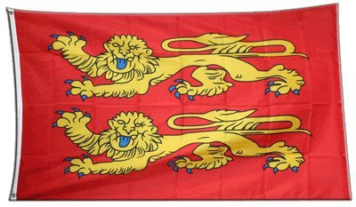 Flagge Frankreich Basse Normandie, p'tits Cats - 90 x 150 cm