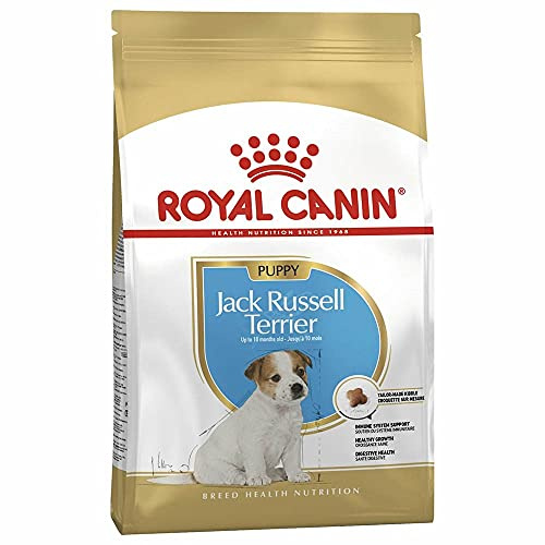 ROYAL CANIN /Jack Russel Terrier Junior väska 1,5 kg Jack Russel Junior valpfoder från 2 till 10 månader