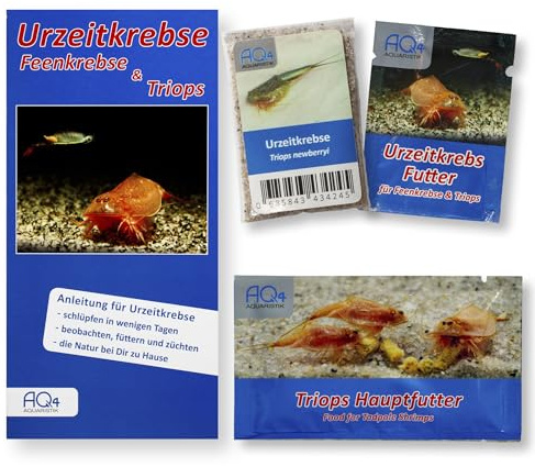 Triops newberryi Starterset ca. 100 Urzeitkrebs-Eier, Futterset, Anleitung | Urzeitkrebs-Eier in Sand, Aufzuchtfutter, Hauptfutter und Anleitung, Nachfüllset, Triops züchten, Triopszucht, Triopseier