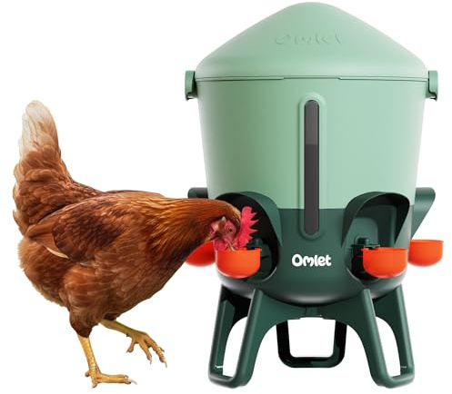 Omlet Isolierter Wasserspender für Hühner 11 Liter | Automatische Geflügeltränke | Sauberes Trinkwasser | BPA-frei | Anti-Sitzkuppel | Schalen und Trinknippel inbegriffen | Salbeigrün