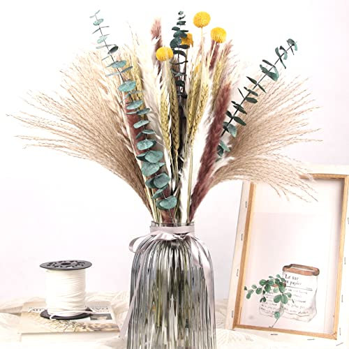 Fiori secchi decorativi Bouquet Erba Della Pampas Decorative 40-44 cm di fiori secchi naturali fai da te Ideale per il soggiorno Boho Camera da letto e vasi (LZGSGO-0101)