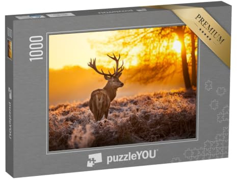 puzzleYOU: Puzzle 1000 Teile „Rothirsch in der Morgensonne“ – aus der Puzzle-Kollektion Tiere, Natur, Hirsche, Tiere in Wald & Gebirge