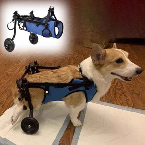 Le fauteuil roulant pour chien est adapté pour les pattes arrière Corgi, les blessures et les handicapés pour la marche, la rééducation du chien, la trottinette pour chien